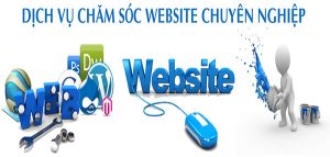 dich vu cham soc website chuyen nghiep gia re