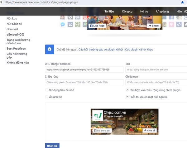 Hướng dẫn cách chèn fanpage vào website WordPress 2024