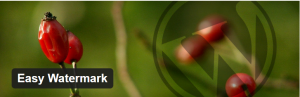 Hướng dẫn tạo chữ ký cho ảnh trên website wordpress