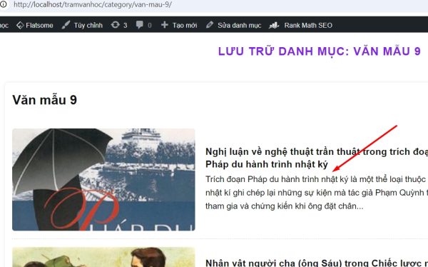 Cách thêm độ dài mô tả ngắn bài viết chuyên mục trong flatsome