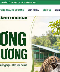 Mẫu website cầy hương Hoàng Chương sw