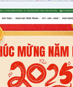 Mẫu website trung tâm dạy học tiếng Trung sw01