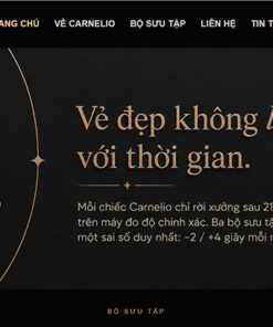 Mẫu website bán đồng hồ đẹp sw02