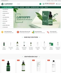 Mẫu website bán hàng WordPress