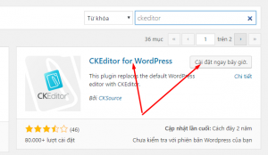 cài cketor vào website