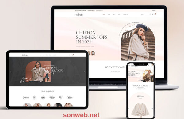 Share code theme Robeto WordPress free