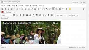 huong dan thêm audio nhac vao website wordpress