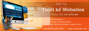 dich vu thiet ke web tron goi gia re tai tphcm